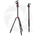 TRIOPO GX258 CarbonFiber  with N-2 Ball Head  STAND