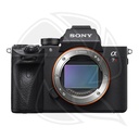 SONY Alpha a7RIV Mirrorless Digital Camera (Body only)