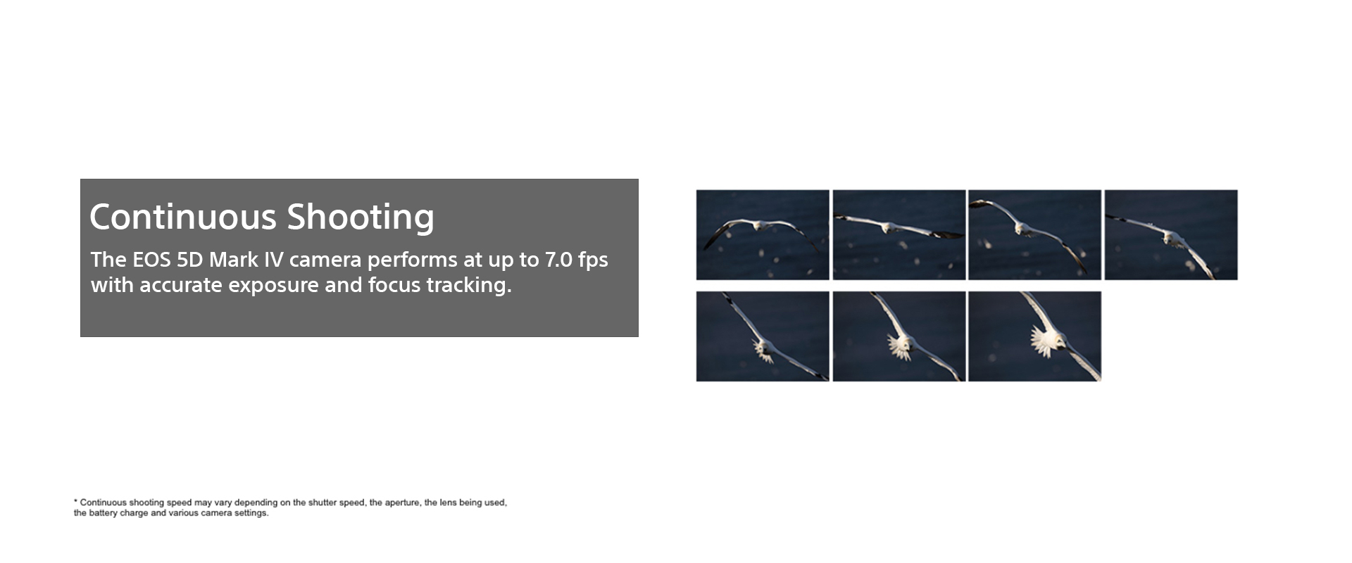 Clarico-Slider Style 3