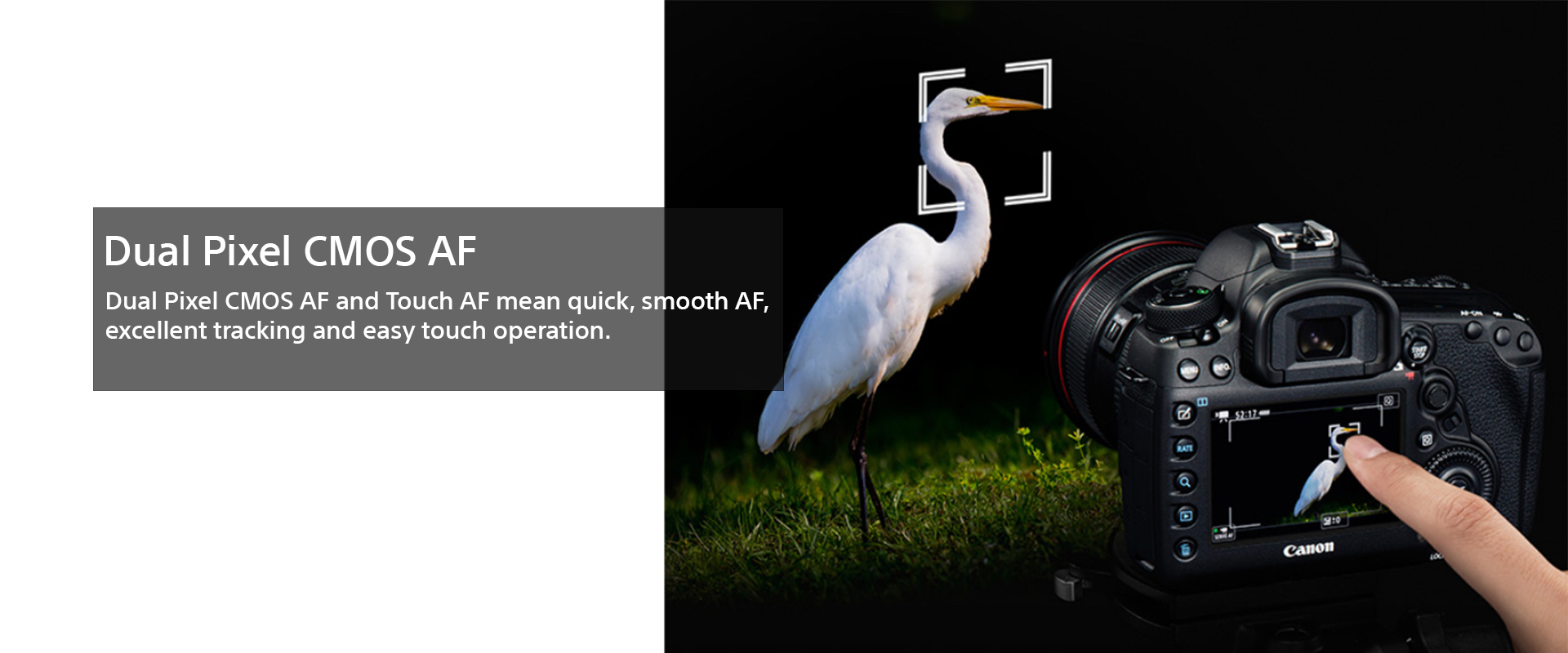 Clarico-Slider Style 3