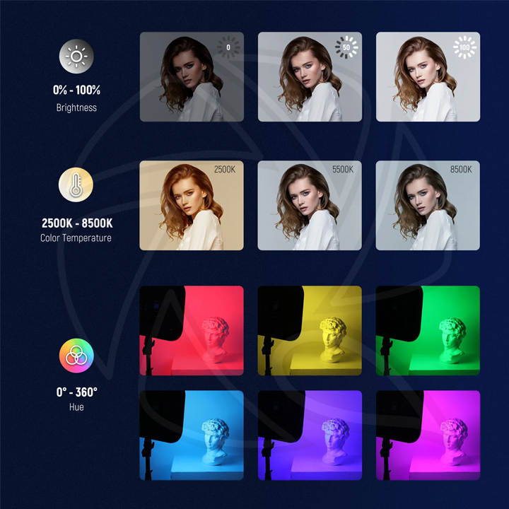 NEEWER RGB168 18.3" (46cm) LED Panel Video Light 2KIT (10101825)