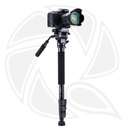 YUNTENG  VCT 558 MONOPOD STAND