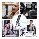 SYNCO V1/USB Professional Condenser Microphone with Large Diaphragm