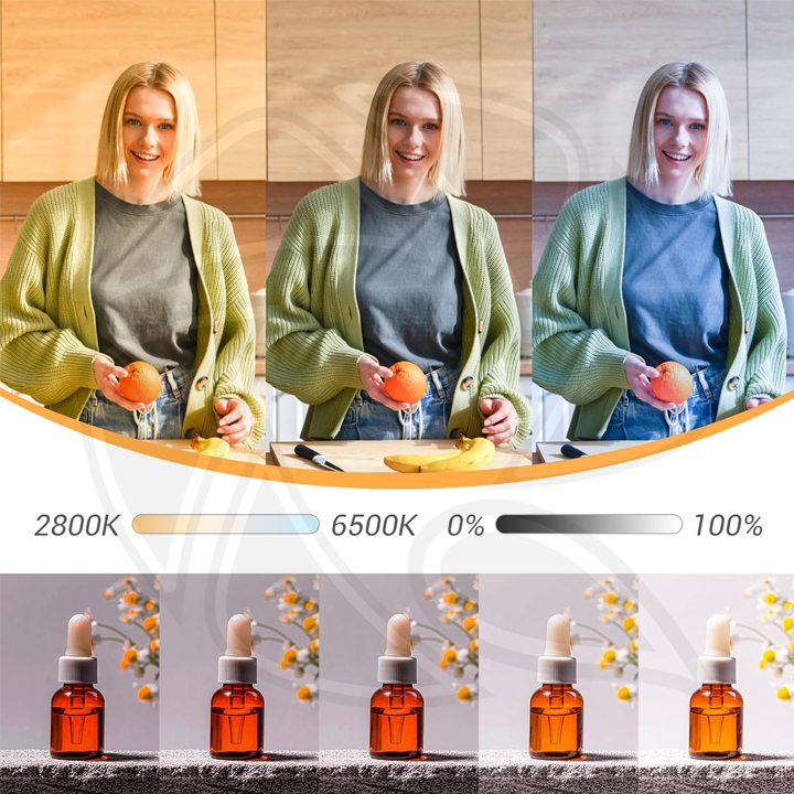 Godox Litemons LA300Bi Bi-Color LED Video Light