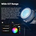 NANLITE FS-300C Led RGBW Spot Light