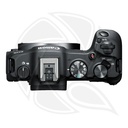 CANON EOS R8 Mirrorless Camera Body Only
