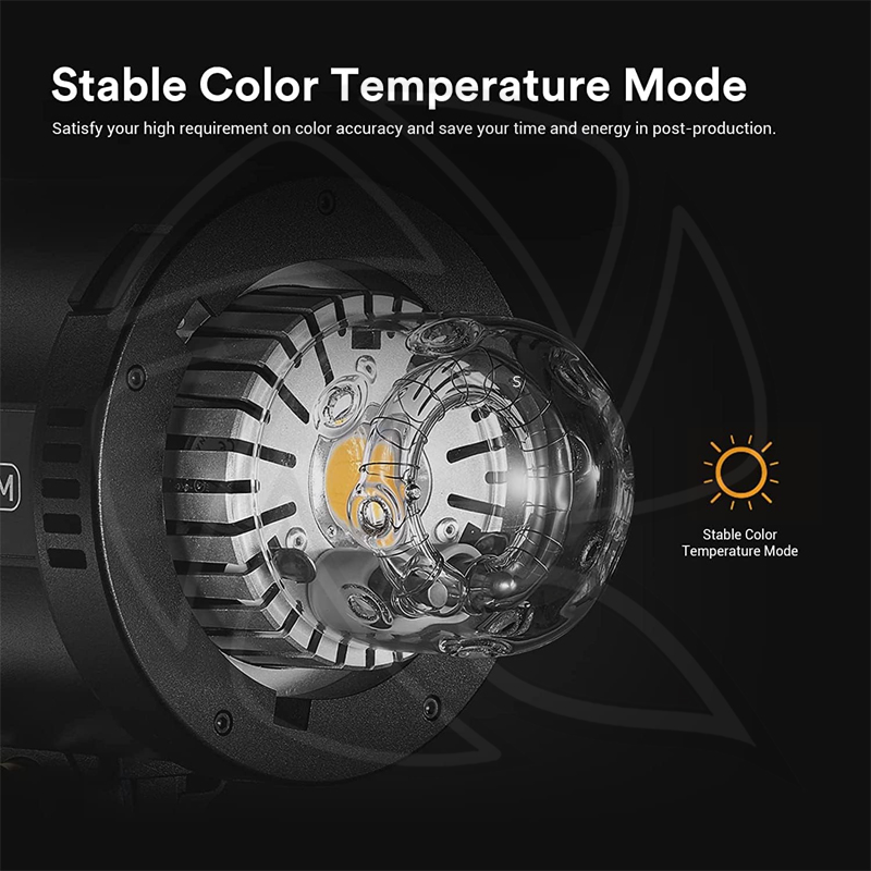 GODOX QT400IIIM Quicker Studio Flash