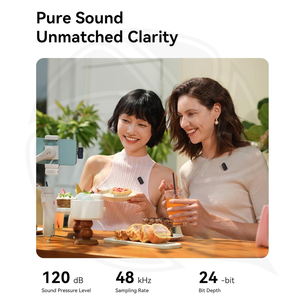 HOLLYLAND LARK A1Mini Lightning  2Person Space Gray