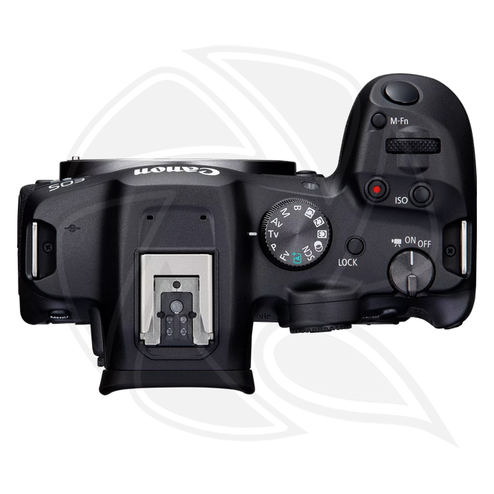 CANON EOS R7 Mirrorless Body Only