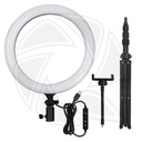 GODOX LR120 LED RING LIGHT (30cm) with Stand