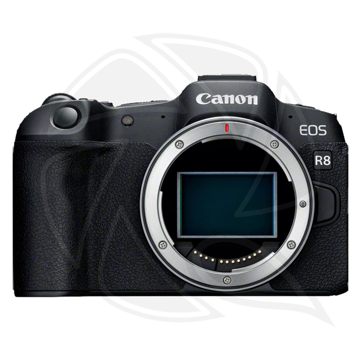CANON EOS R8 Mirrorless Camera Body Only
