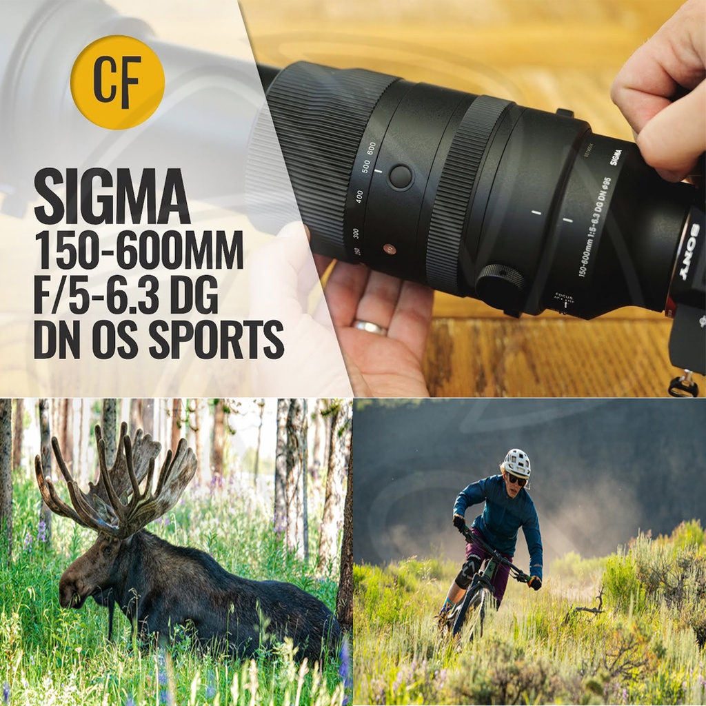 SIGMA 150-600 DG SPORT FOR SONY