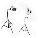 QARTAJ Magic Arm with 2.8m Light Stand