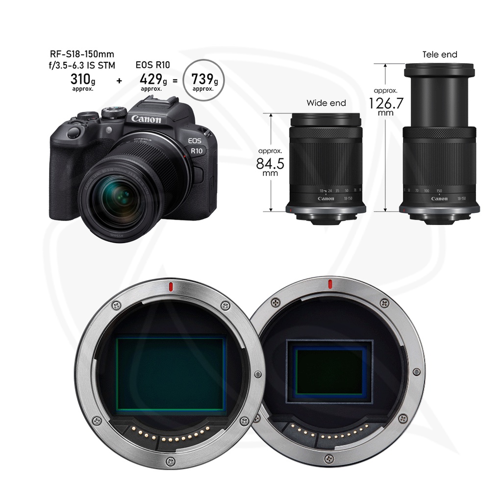 Canon EOS R10 Mirrorless Camera + RF-S 18-150mm F3.5-6.3 IS STM Lens + Mount Adapter EF-EOS R