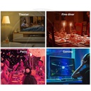 TP-LINK tapo Smart Wi-Fi Light Bulb, Multicolor / tapo L530E