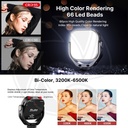 ULANZI  VL66 360° Rotatable RGB LED Video Light (2135)