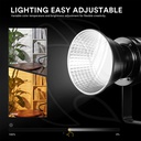 GODOX SL150IIIBi Bi-Color LED Video Light