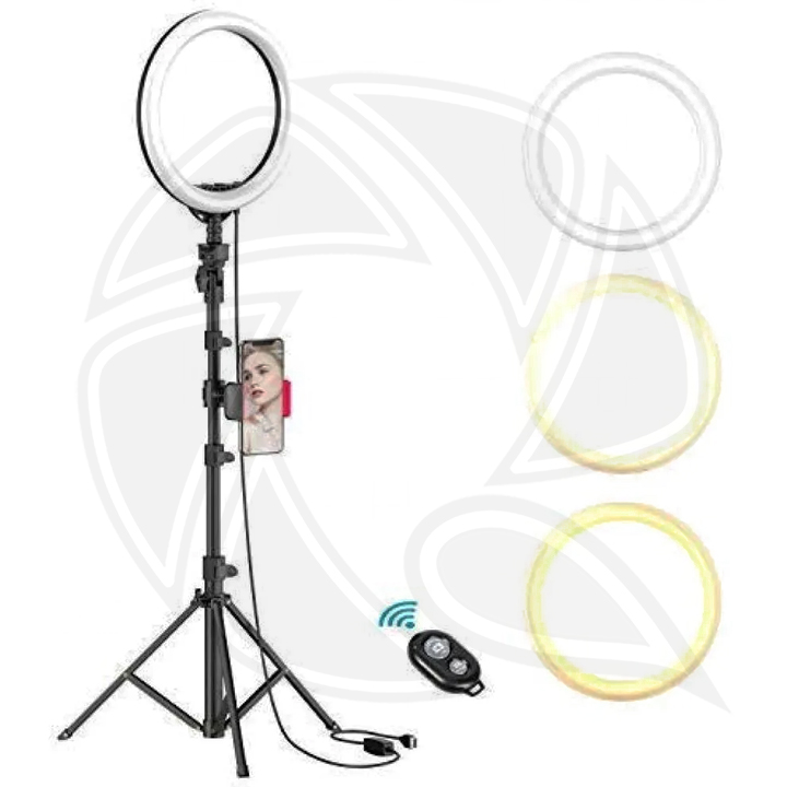 JMARY-Ring Light (25cm) Bi-coloe LIVE LED (40w) with FM-536A Light Tripod