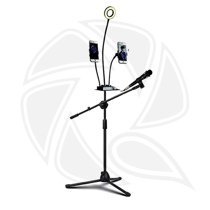 Microphone Adjustable Tripod Mic Stand with Boom Arm 2 Phone Holders and 4 inch Ring Light