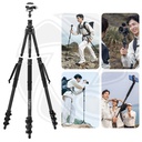 Ulanzi TT35 Hiking Stick Tripod