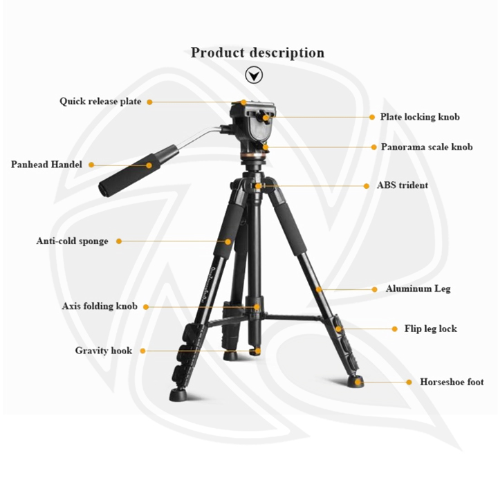 QPS- Essential Camera Accessories