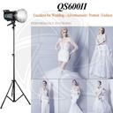 QPS-GODOX QS600II-D 3KIT 3-Light Studio Flash Kit with LP800X Power Inverter