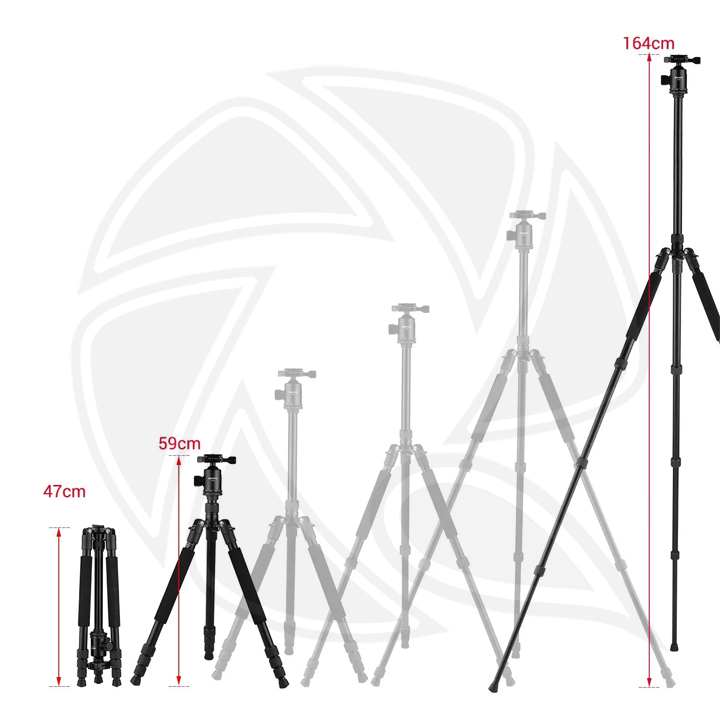TRIOPO G2508 with Ball Head D-2A STAND