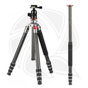 TRIOPO GX3104 TRIPOD Carbon Fiber with  B-3 Ball Head