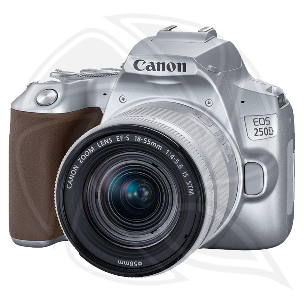 CANON EOS 250D  with 18-55 IS STM Lens