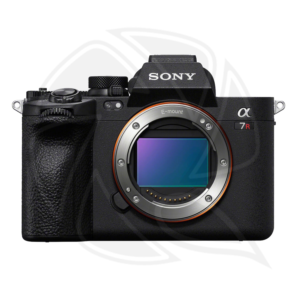 SONY Alpha a7RV Mirrorless Digital Camera (Body only)