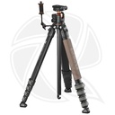 TRIOPO  4-HERACLES405 + X2 STAND