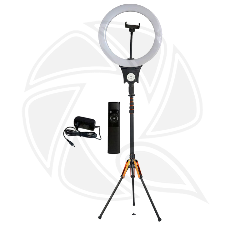 JMARY FM12R 30cm RING LIGHT Bi-color with STAND