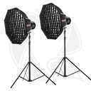QPS-GODOX LC30D LED Light (33w) with SoftBox and Light Stand 2Kit