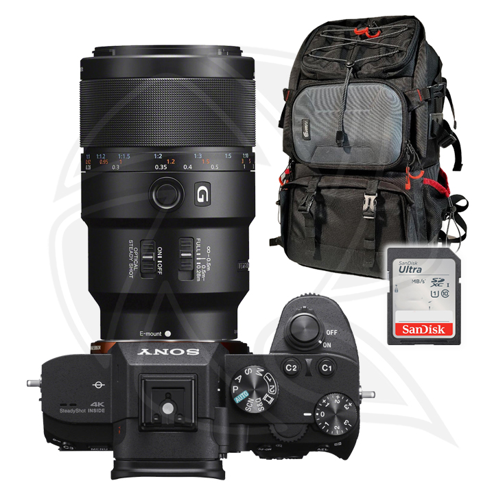 SONY Alpha a7III (Body Only) with SONY LENS 90mm F2.8 Macro G OSS Full-frame Telephoto Macro Prime G &amp;Accessories 