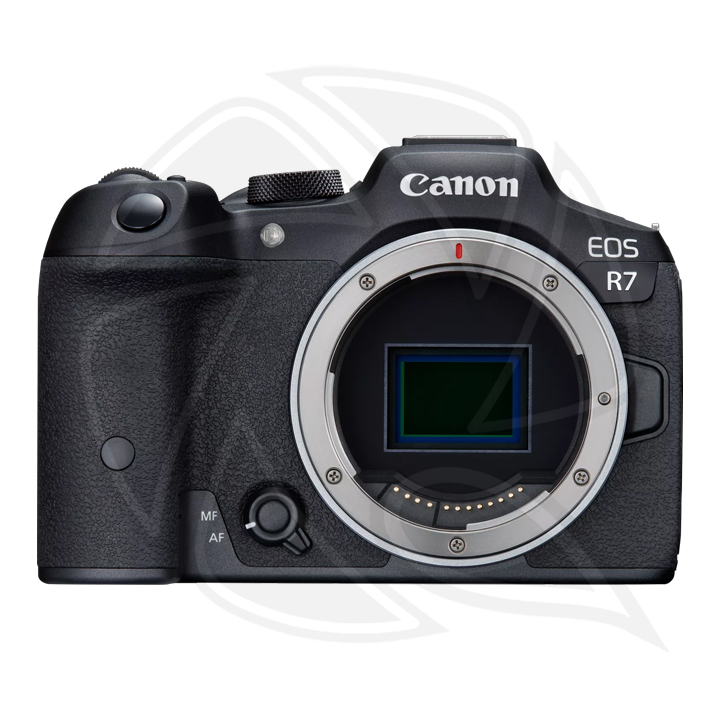 CANON EOS R7 Mirrorless  APS-C Body Only