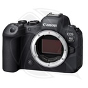 CANON EOS R6 II Mirrorless Camera Body Only