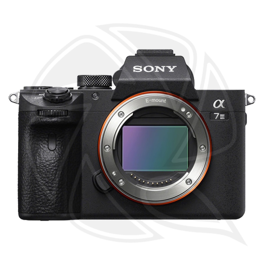 SONY Alpha a7III Mirrorless Digital Camera (Body Only)