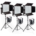 MEIDIKE D-600II LED LIGHT kit 