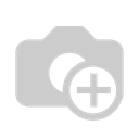NIKON D5600 BK AF-P 18-55VR KIT